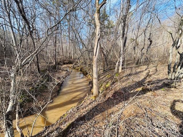 0 Clearwater Parkway Rutherfordton NC 28139