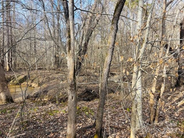 0 Clearwater Parkway Rutherfordton NC 28139