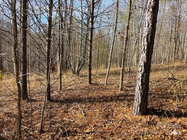 0 Clearwater Parkway Rutherfordton NC 28139