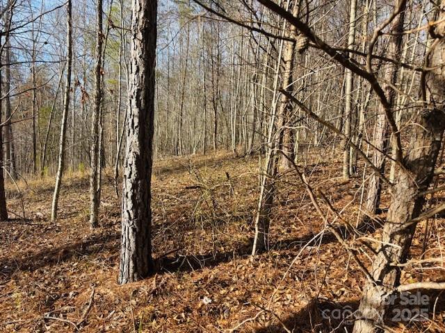 0 Clearwater Parkway Rutherfordton NC 28139