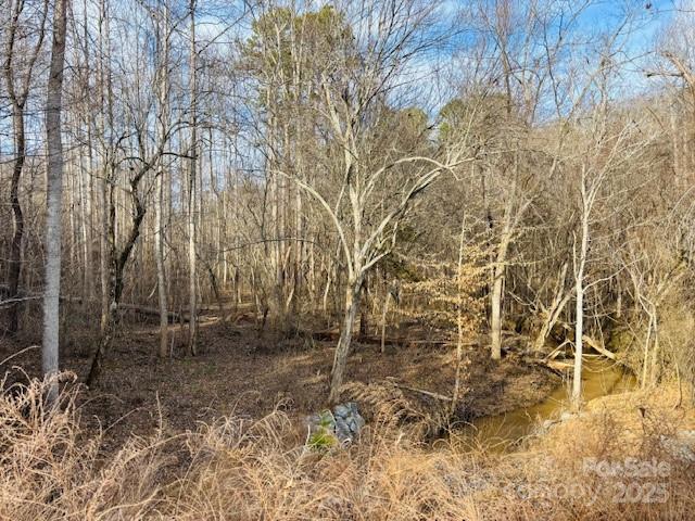 0 Clearwater Parkway Rutherfordton NC 28139