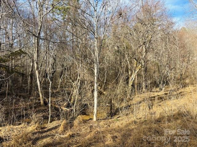 0 Clearwater Parkway Rutherfordton NC 28139