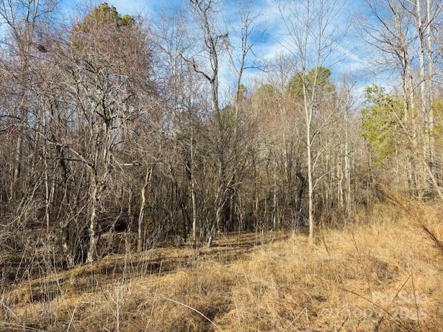 0 Clearwater Parkway Rutherfordton NC 28139