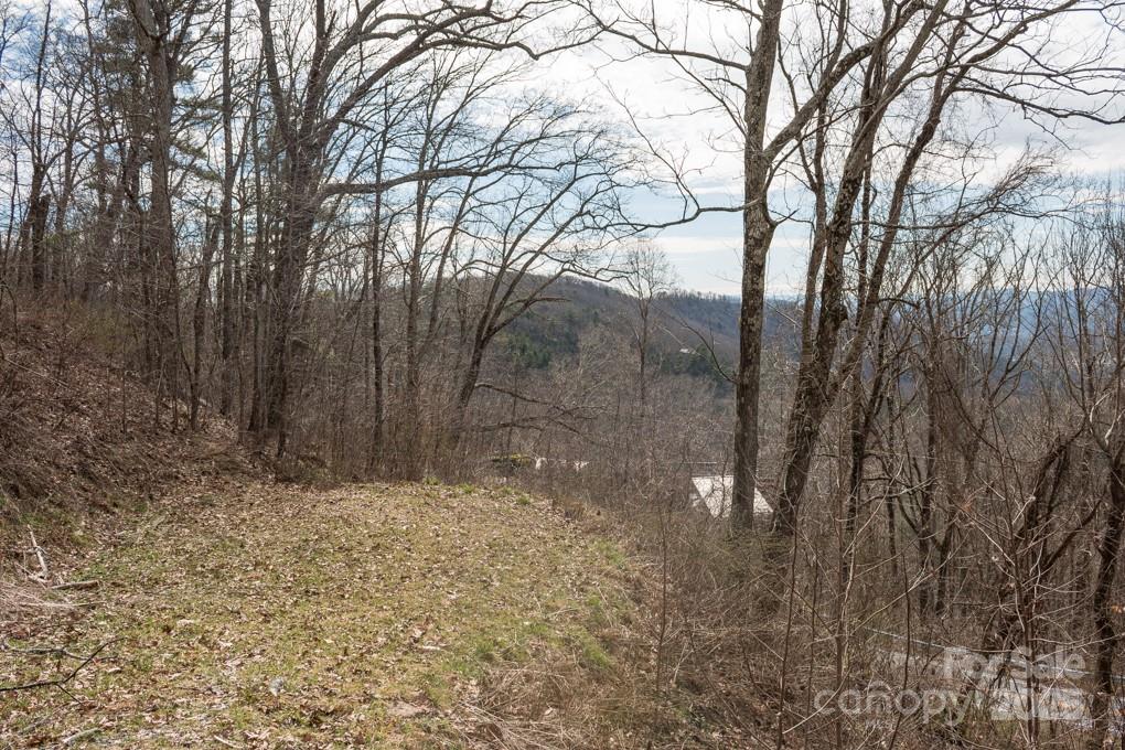 Asheville NC, 999 Falconwood Lane