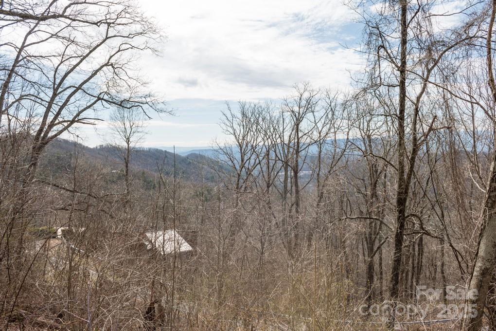 999 Falconwood Lane Asheville NC 28804