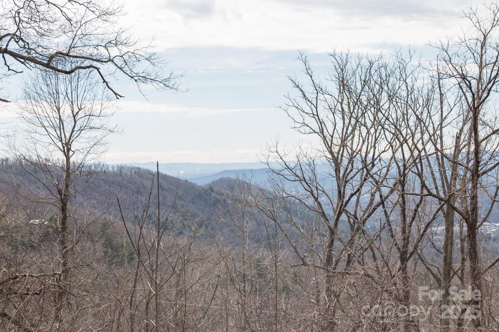 999 Falconwood Lane Asheville NC 28804
