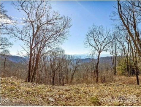 999 Falconwood Lane Asheville NC 28804