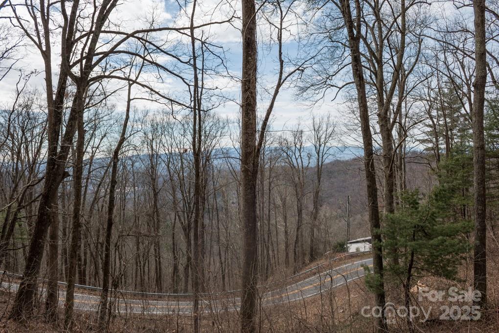 999 Falconwood Lane Asheville NC 28804