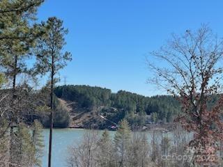 5619 Channel View Cove Granite Falls NC 28630