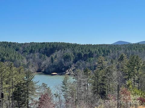 5619 Channel View Cove Granite Falls NC 28630