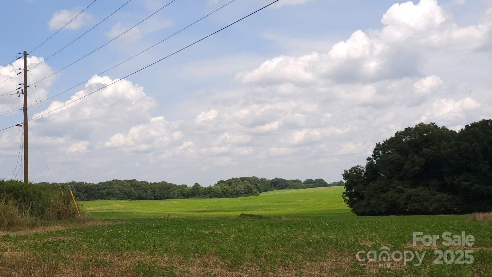 Tbd Traywick Road Peachland NC 28133