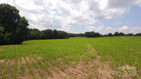 Tbd Traywick Road Peachland NC 28133