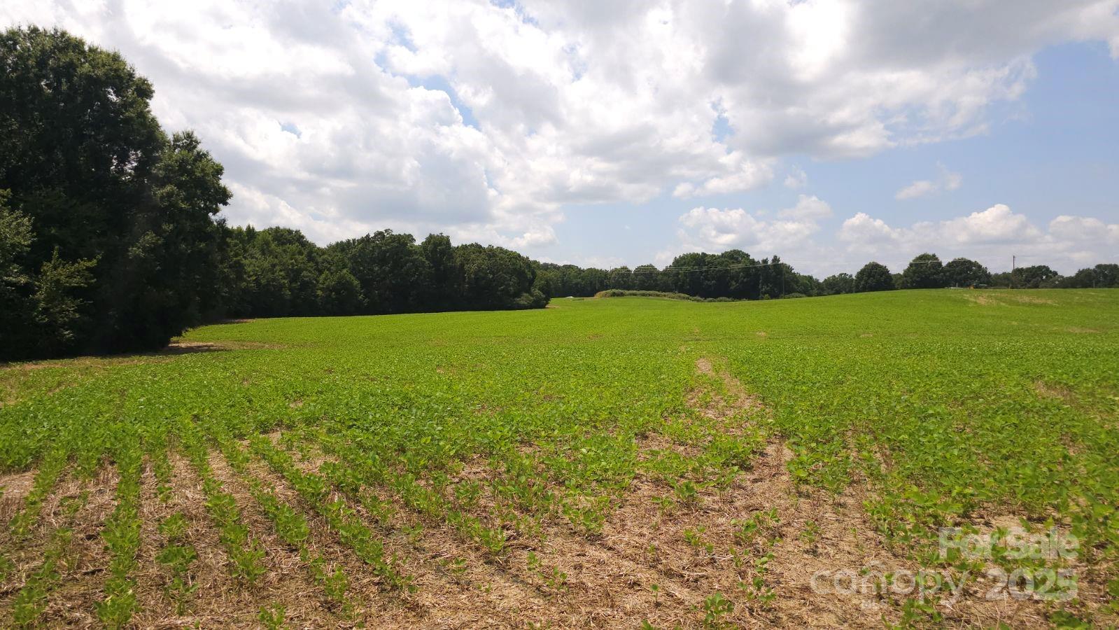 Tbd Traywick Road Peachland NC 28133