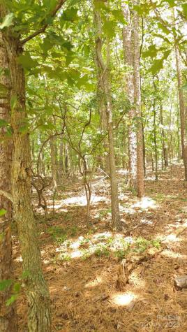 Tbd Traywick Road Peachland NC 28133