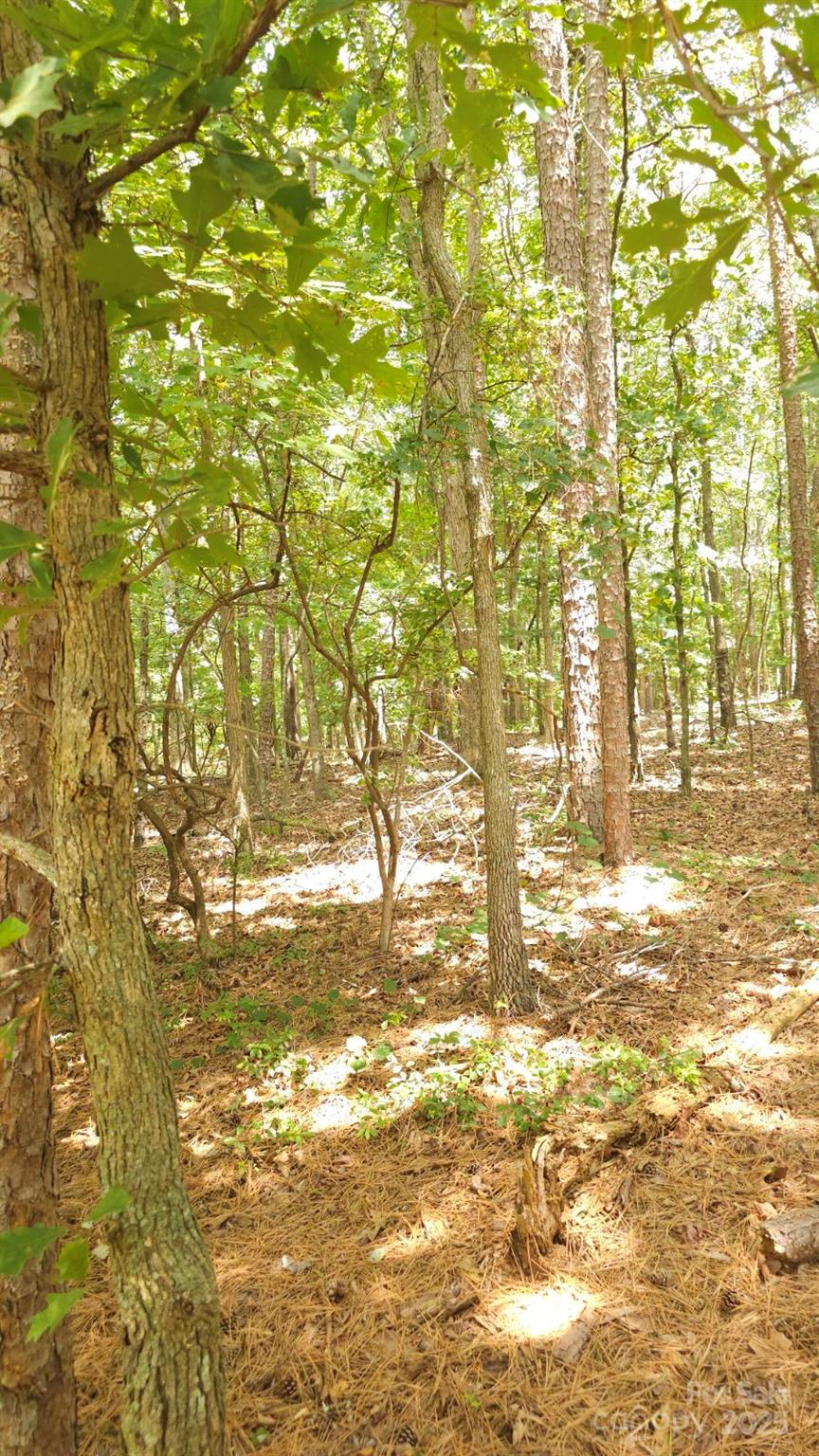 Tbd Traywick Road Peachland NC 28133