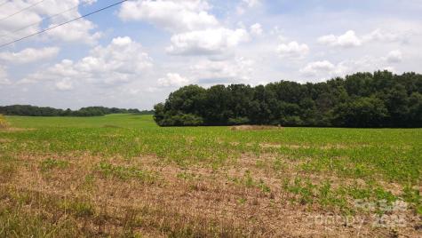 Tbd Traywick Road Peachland NC 28133