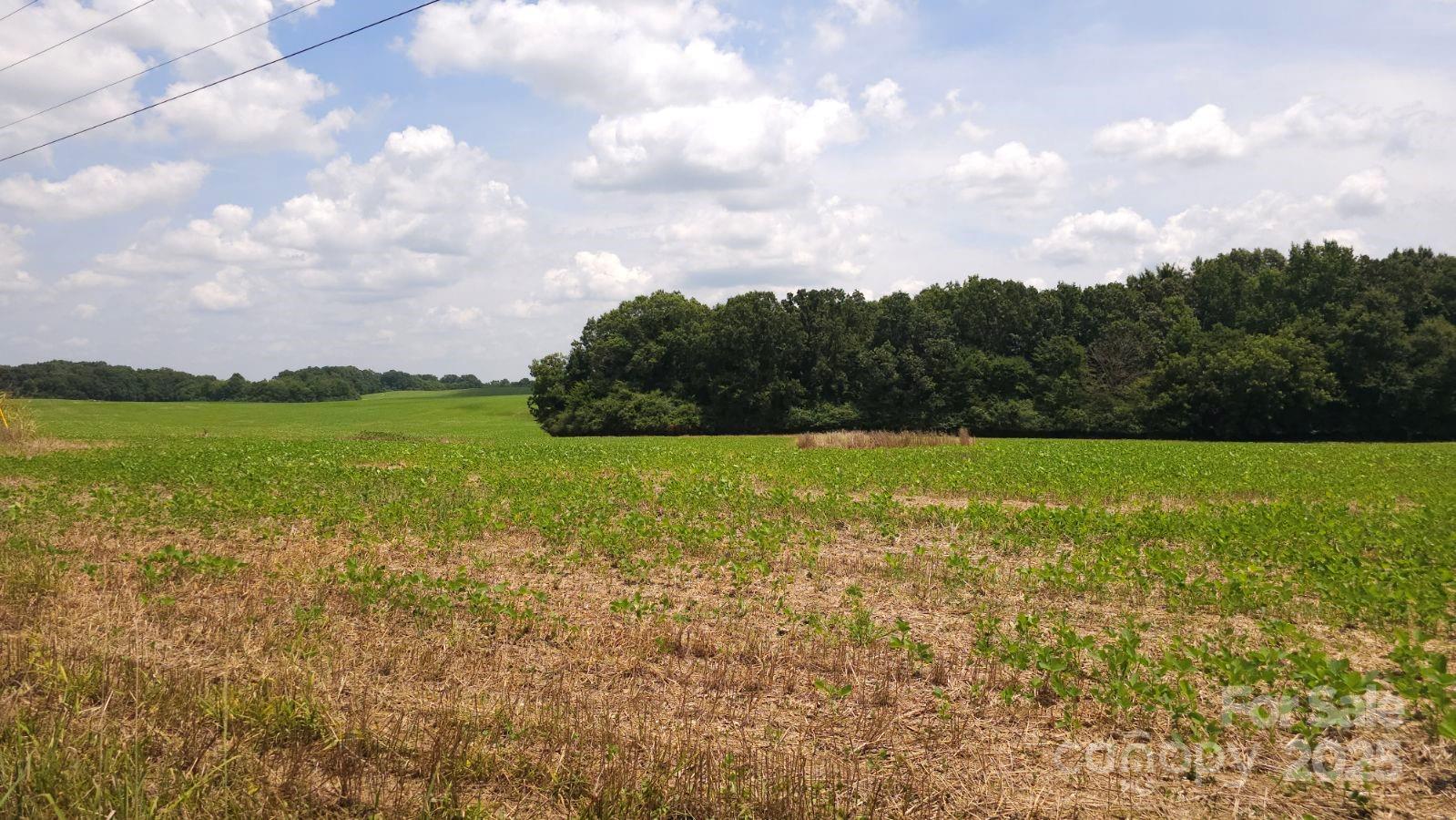 Tbd Traywick Road Peachland NC 28133