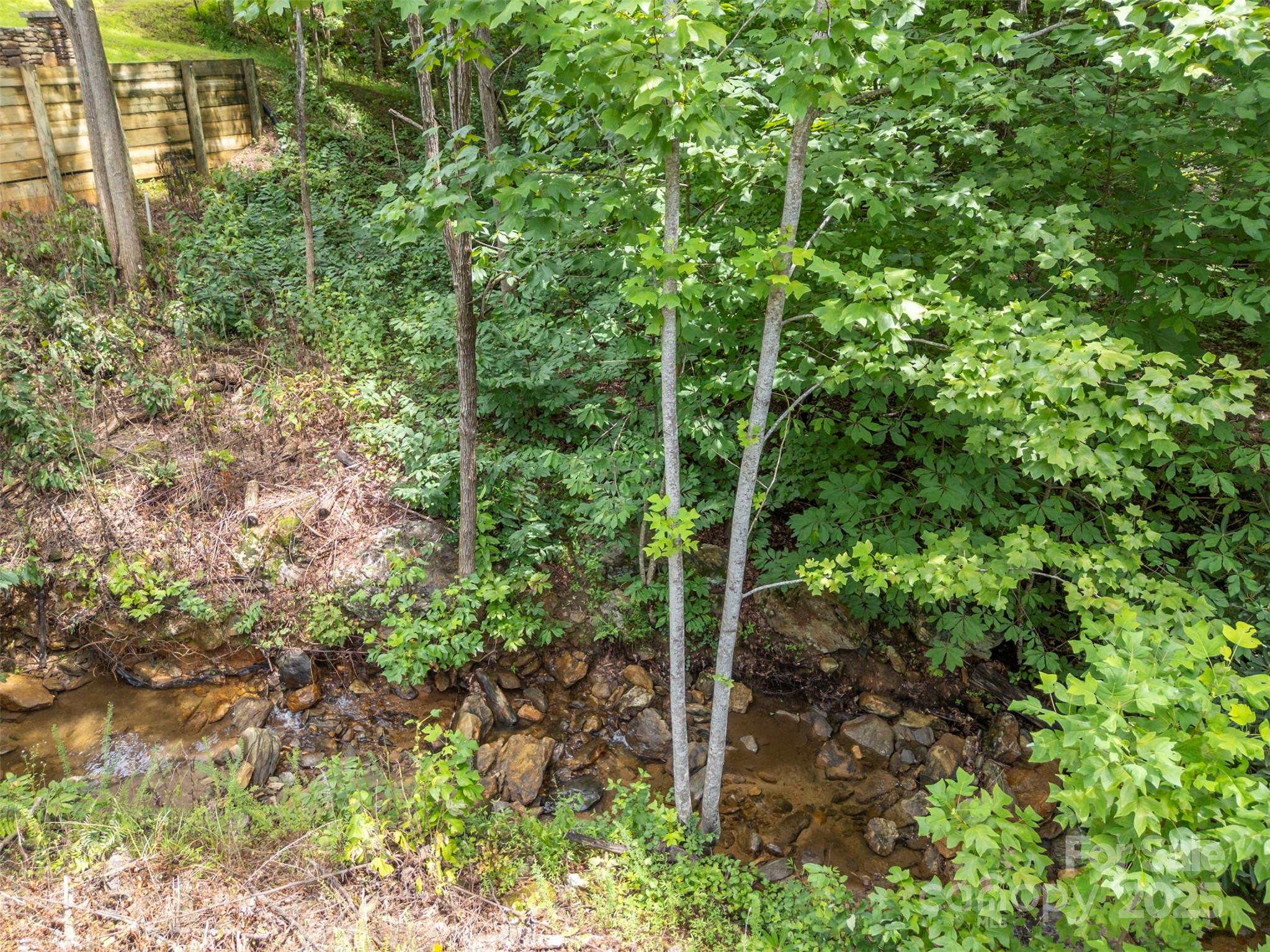 00 Deep Gap Road E Mill Spring NC 28756