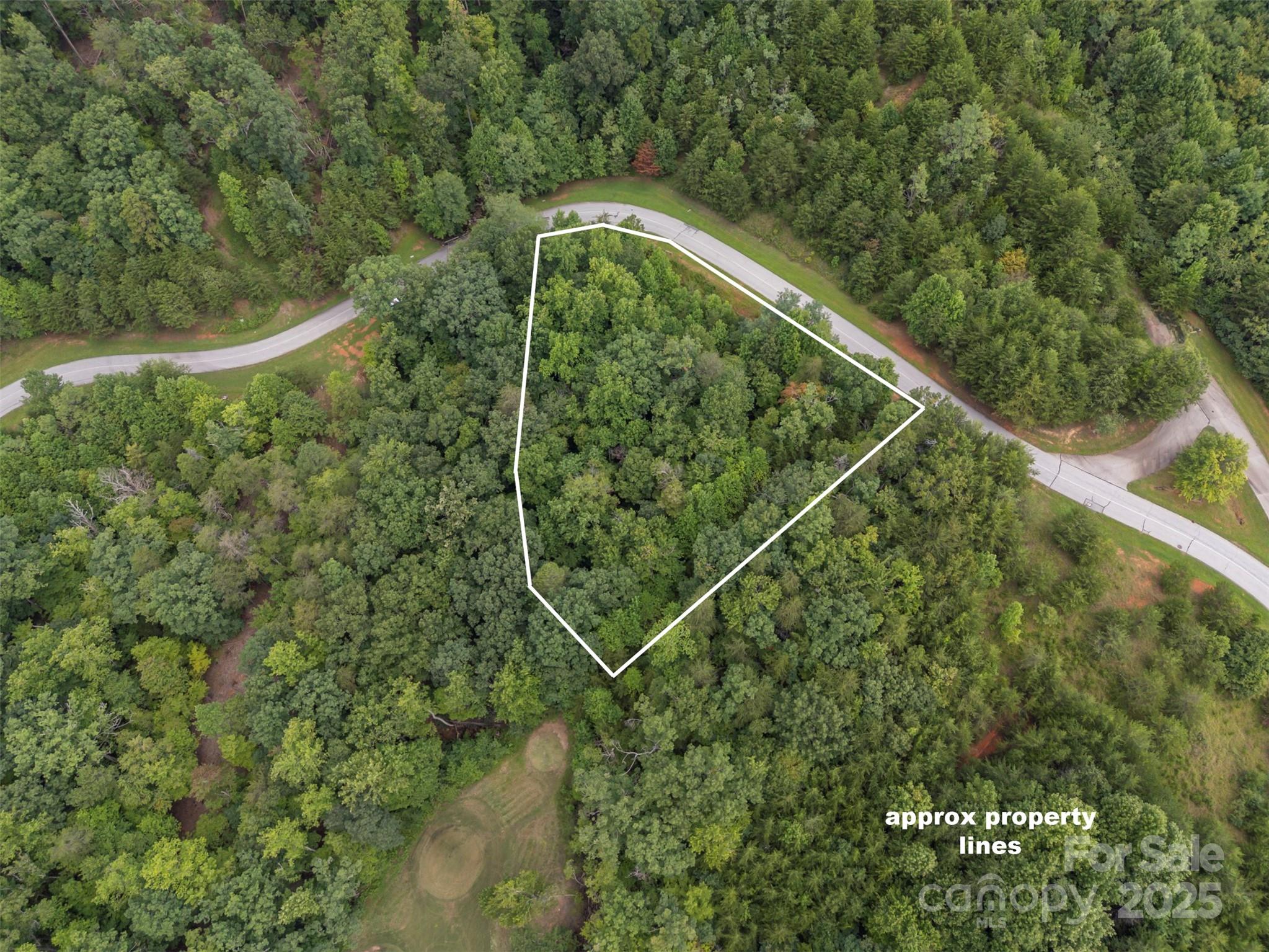 00 Deep Gap Road E Mill Spring NC 28756