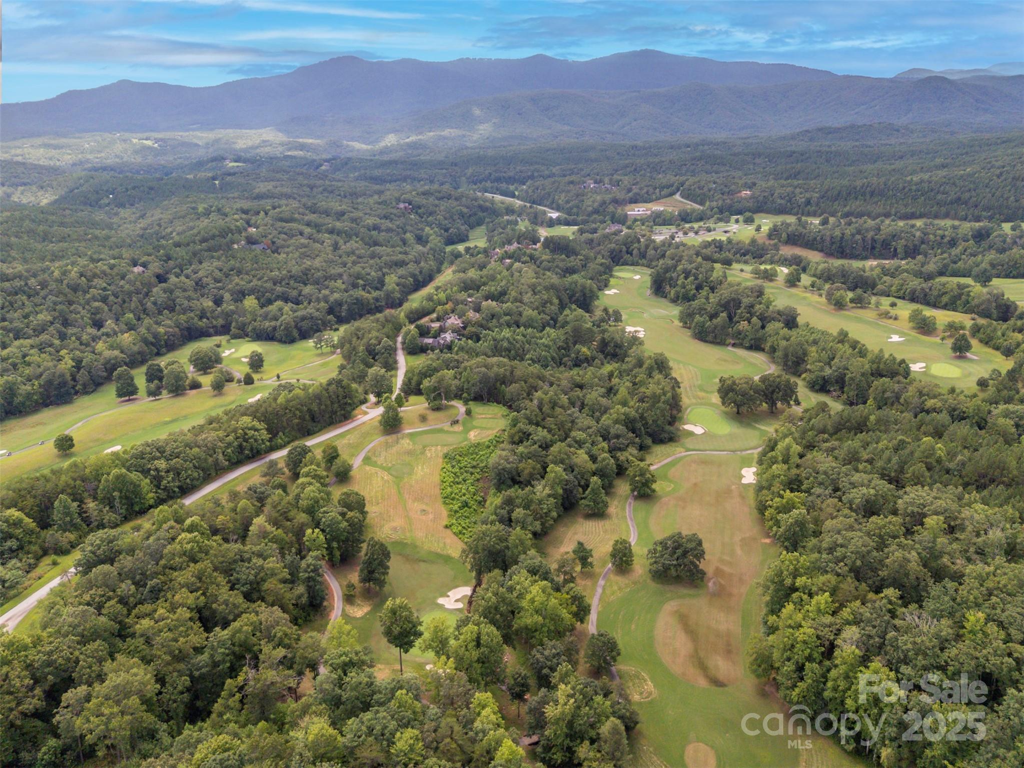 00 Deep Gap Road E Mill Spring NC 28756