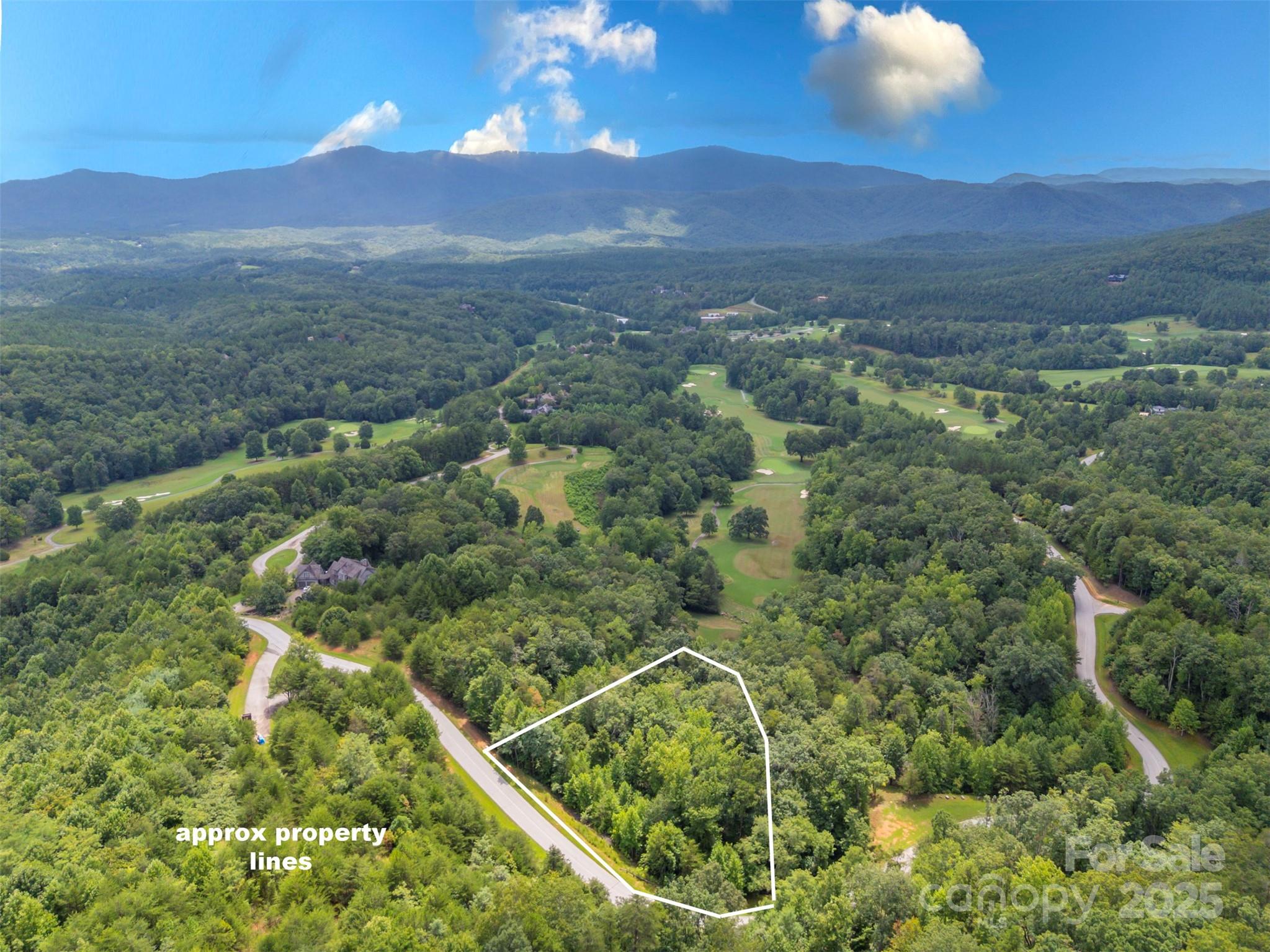 00 Deep Gap Road E Mill Spring NC 28756