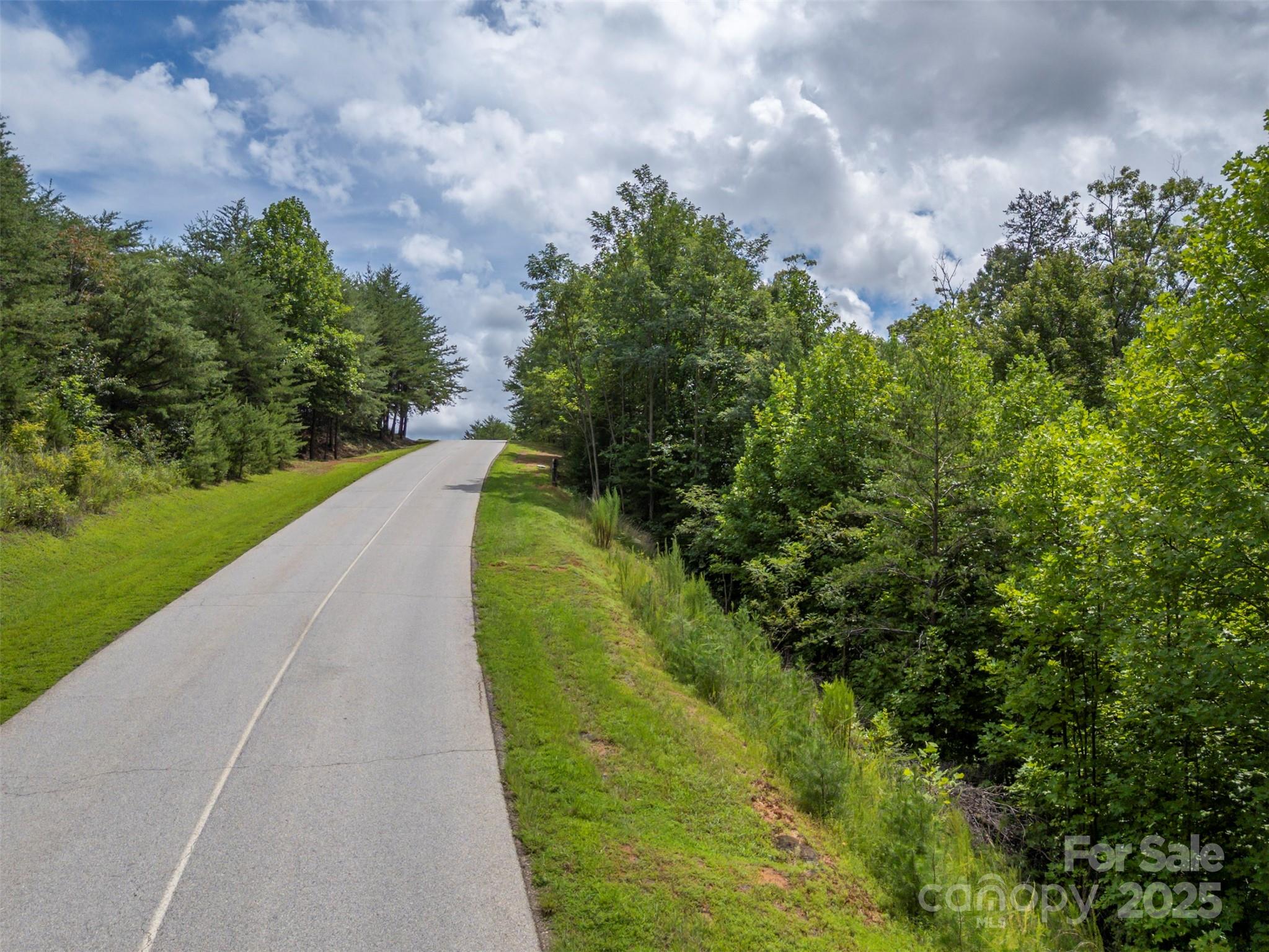 00 Deep Gap Road E Mill Spring NC 28756