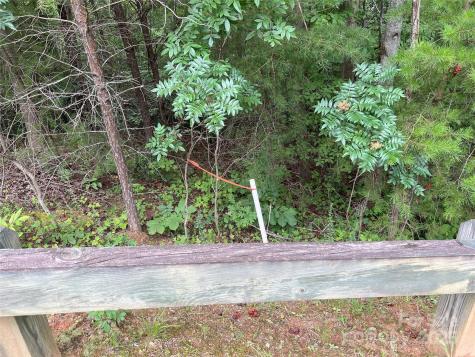 00 Deep Gap Road E Mill Spring NC 28756