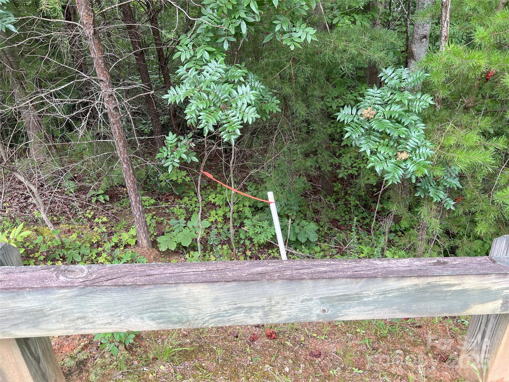 00 Deep Gap Road E Mill Spring NC 28756