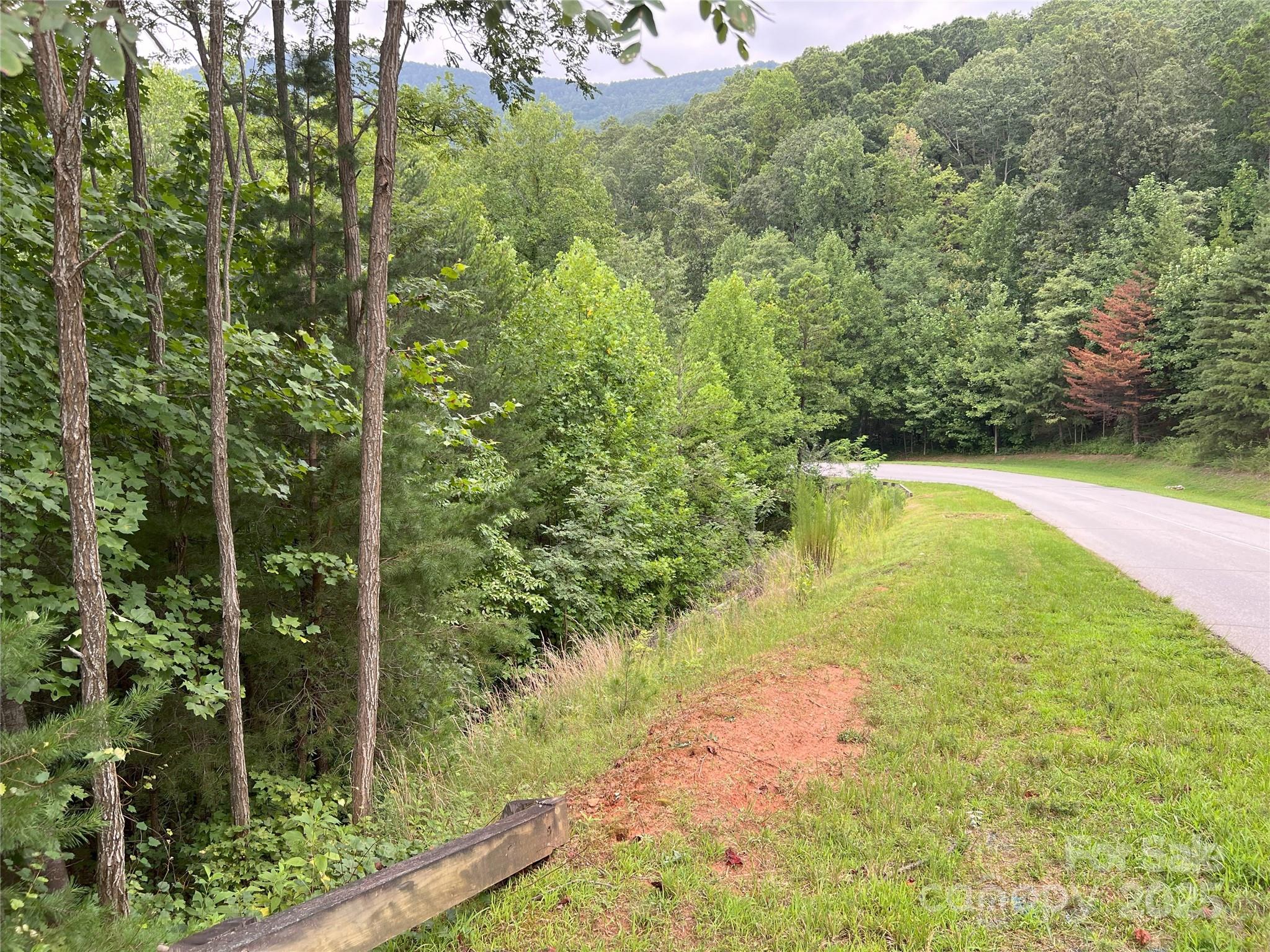 00 Deep Gap Road E Mill Spring NC 28756