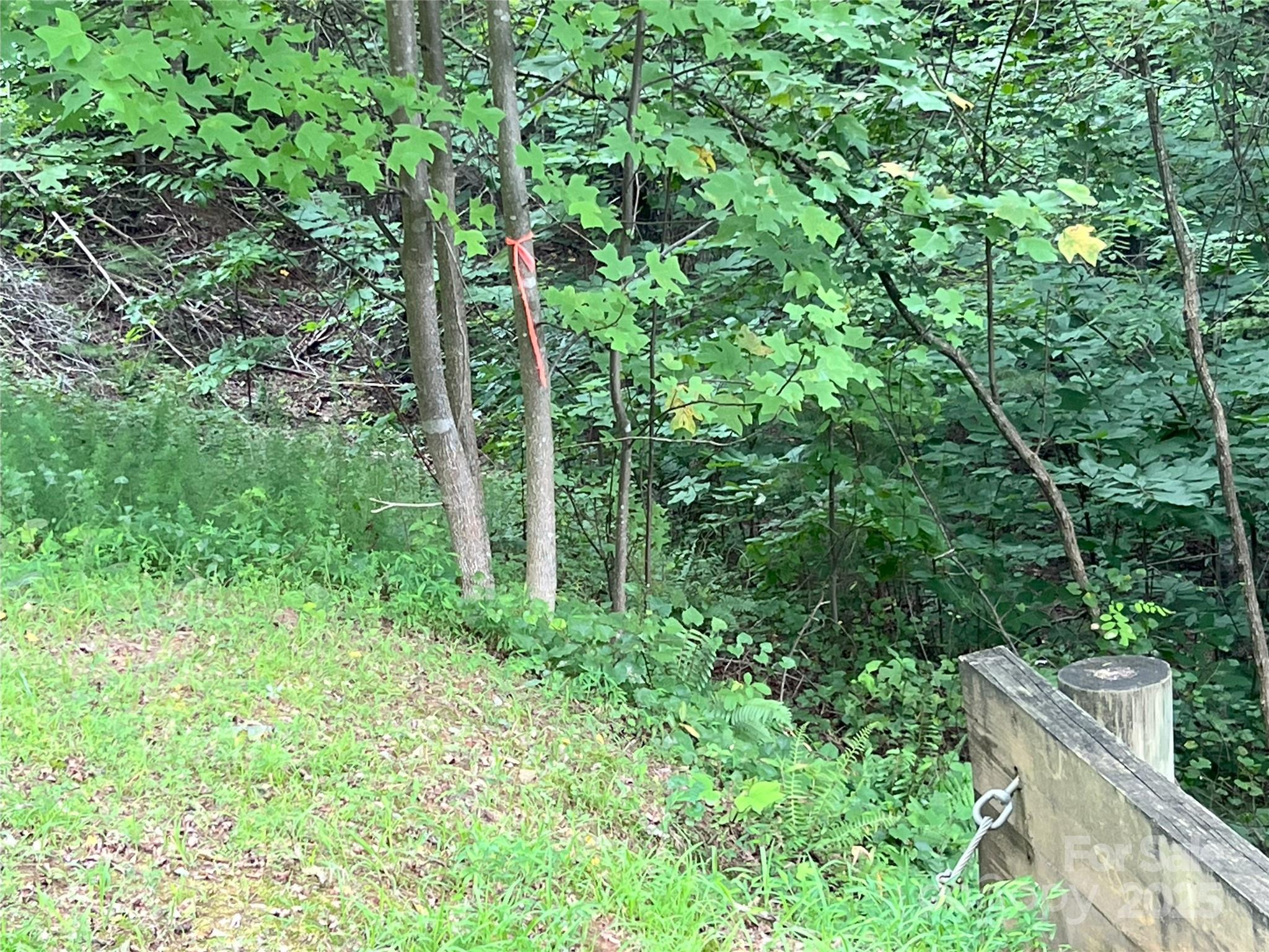 00 Deep Gap Road E Mill Spring NC 28756
