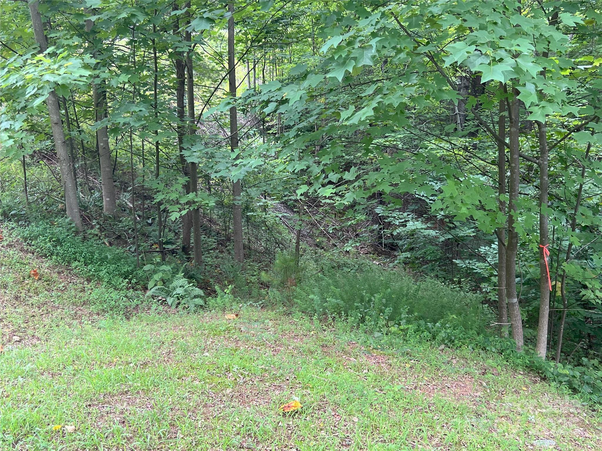 00 Deep Gap Road E Mill Spring NC 28756