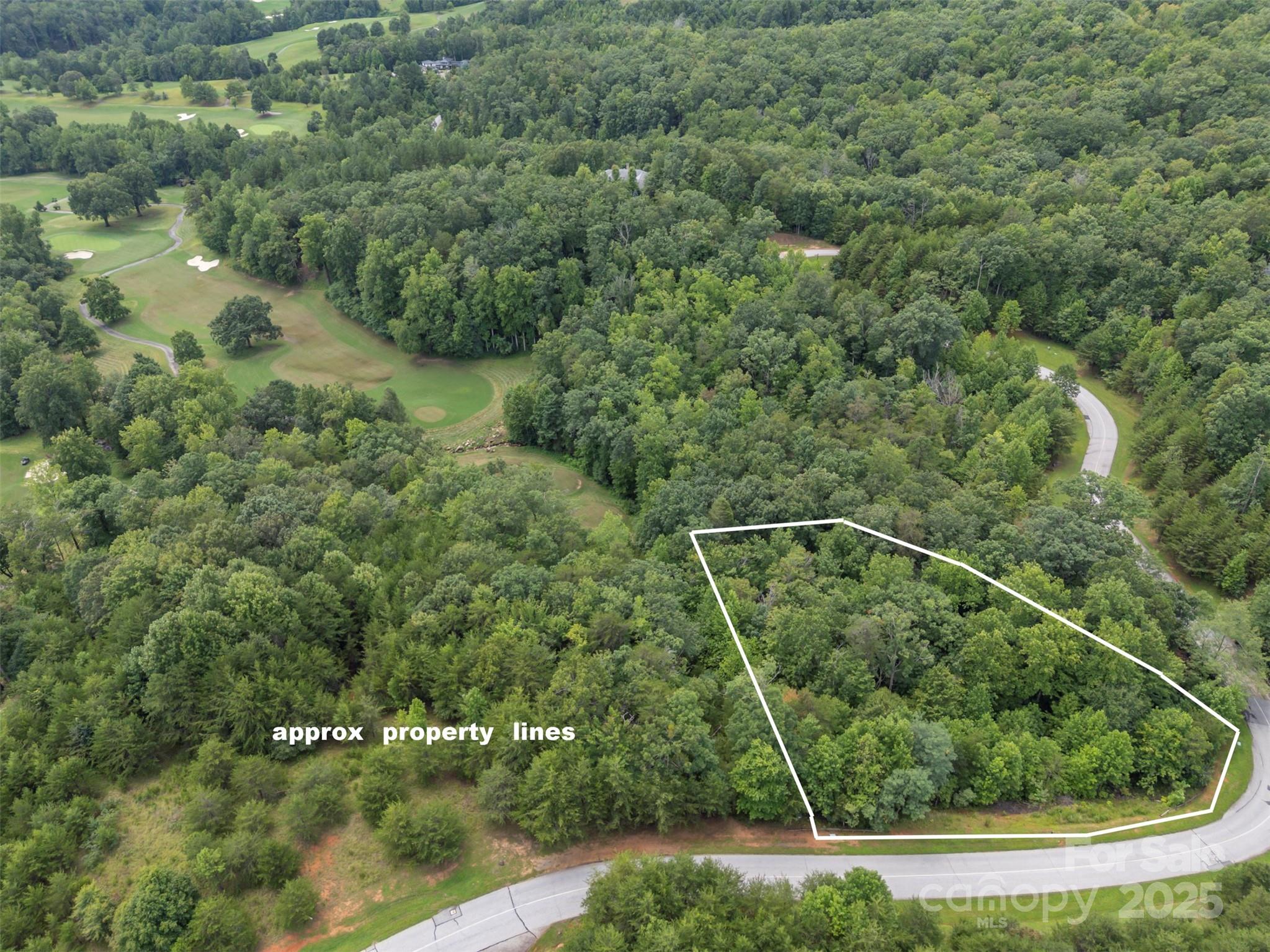 00 Deep Gap Road E Mill Spring NC 28756