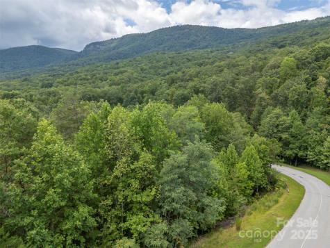 00 Deep Gap Road E Mill Spring NC 28756
