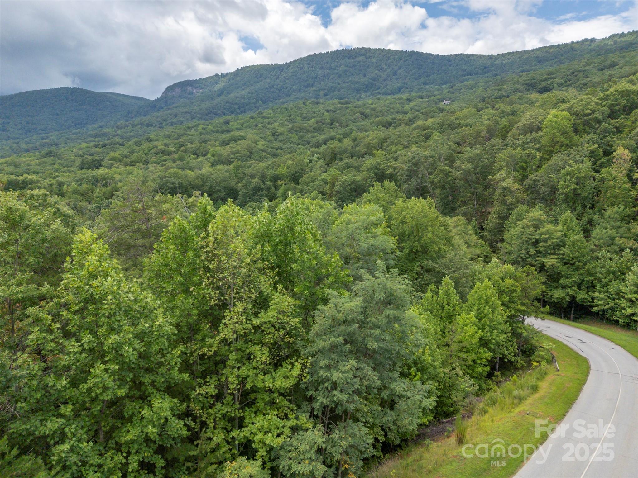 00 Deep Gap Road E Mill Spring NC 28756