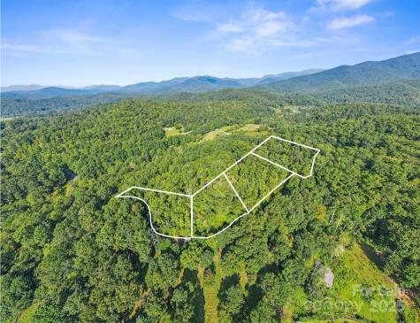 Tbd Barts Branch Drive Balsam Grove NC 28708