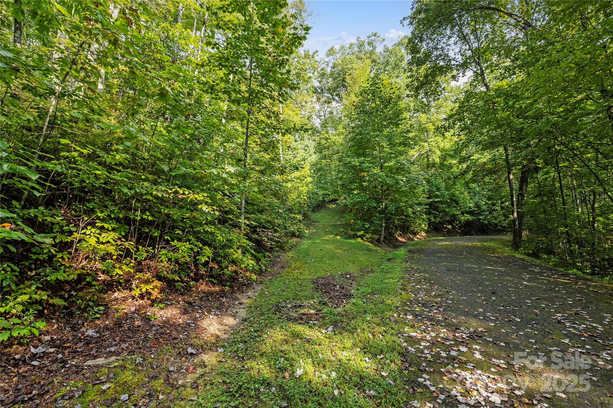 Tbd Barts Branch Drive Balsam Grove NC 28708