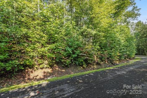 Tbd Barts Branch Drive Balsam Grove NC 28708