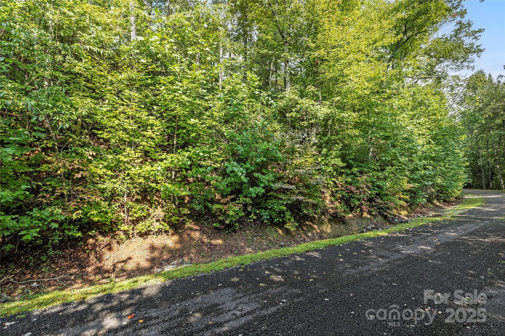Tbd Barts Branch Drive Balsam Grove NC 28708