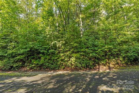 Tbd Barts Branch Drive Balsam Grove NC 28708