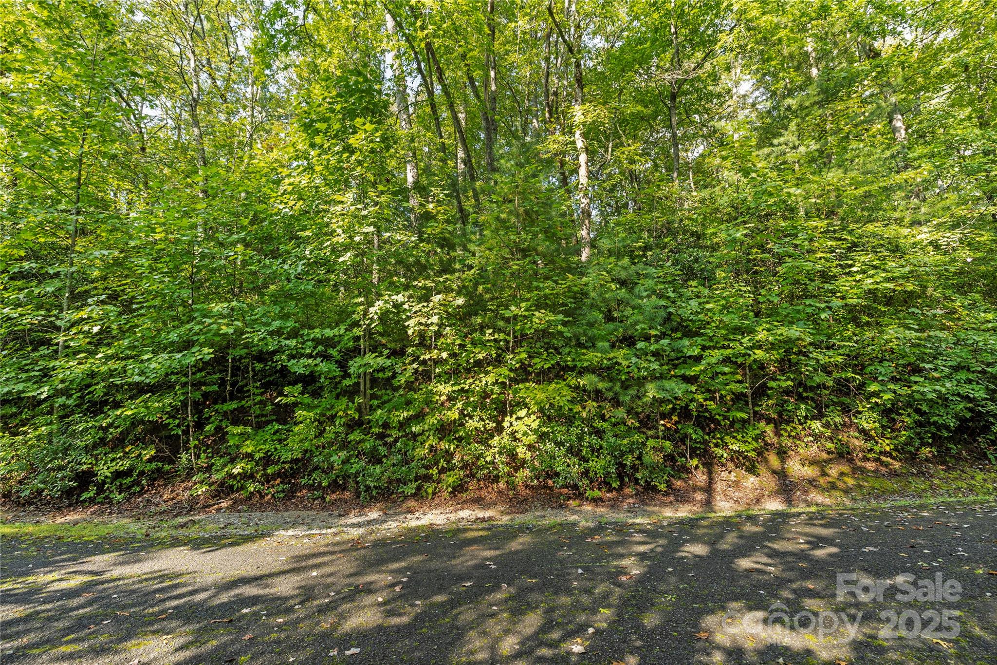 Tbd Barts Branch Drive Balsam Grove NC 28708