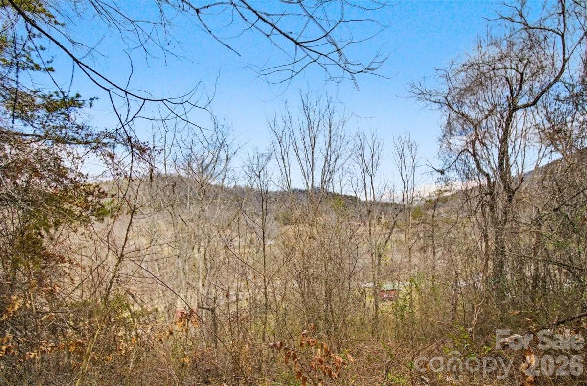99999 Barberry Acres Road Candler NC 28715