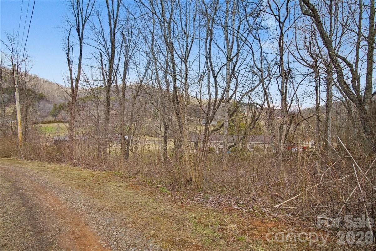 99999 Barberry Acres Road Candler NC 28715