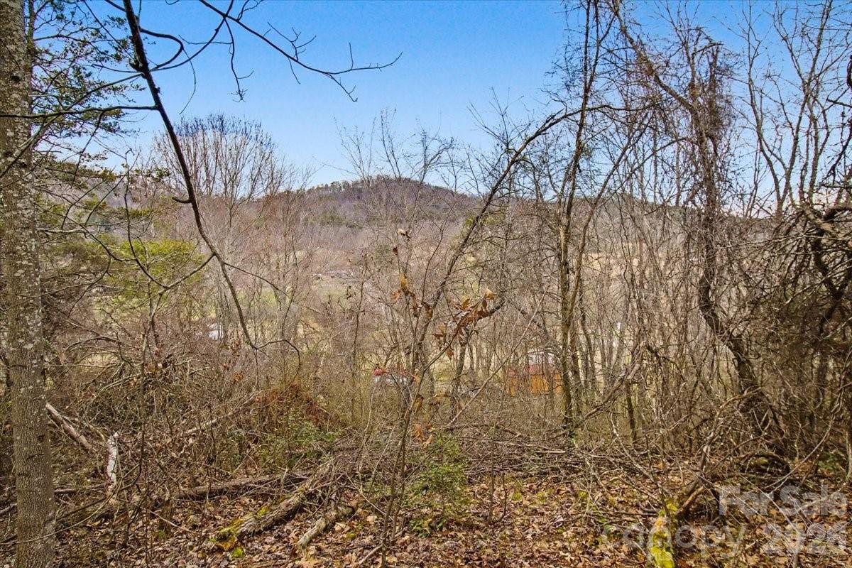 99999 Barberry Acres Road Candler NC 28715