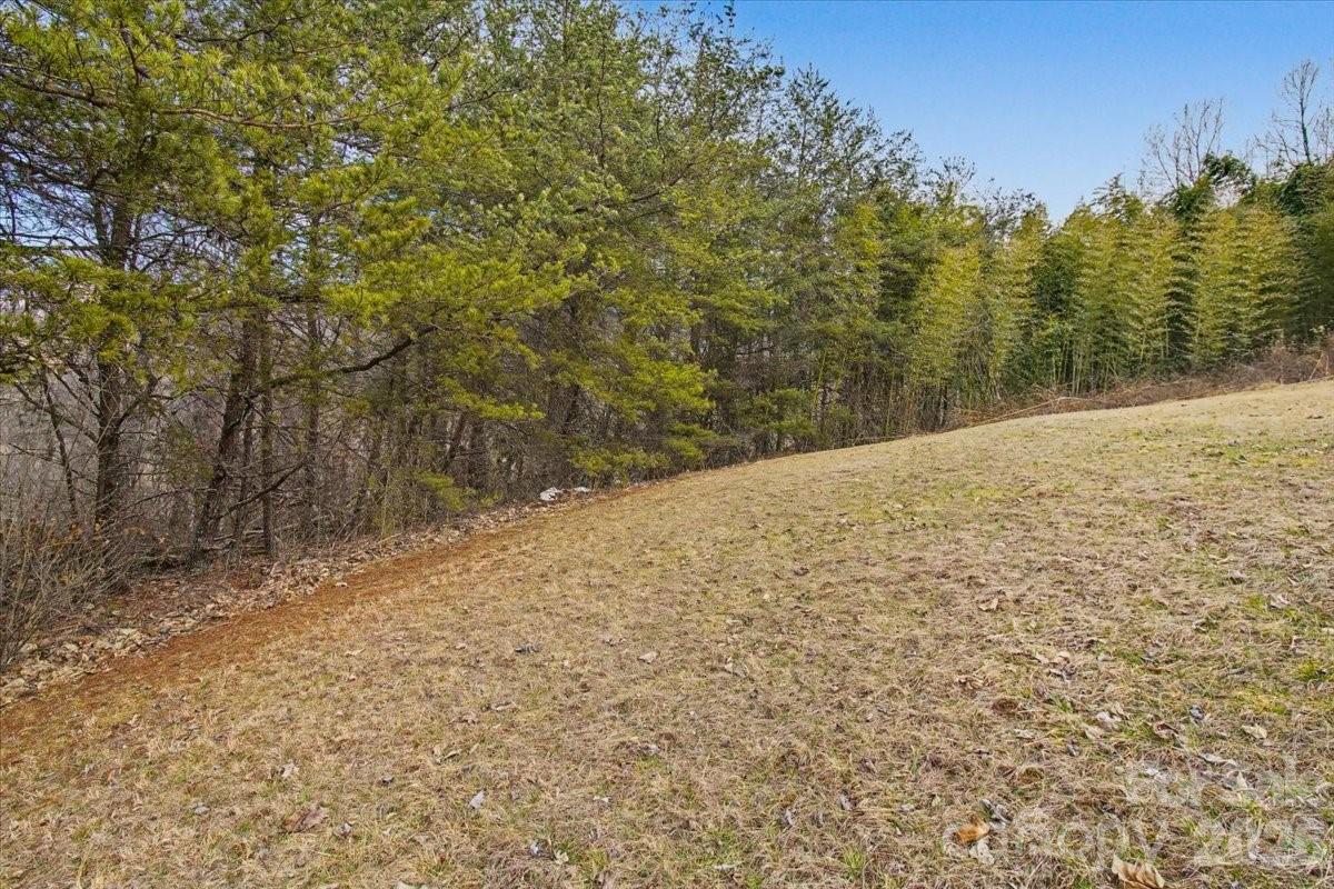 99999 Barberry Acres Road Candler NC 28715