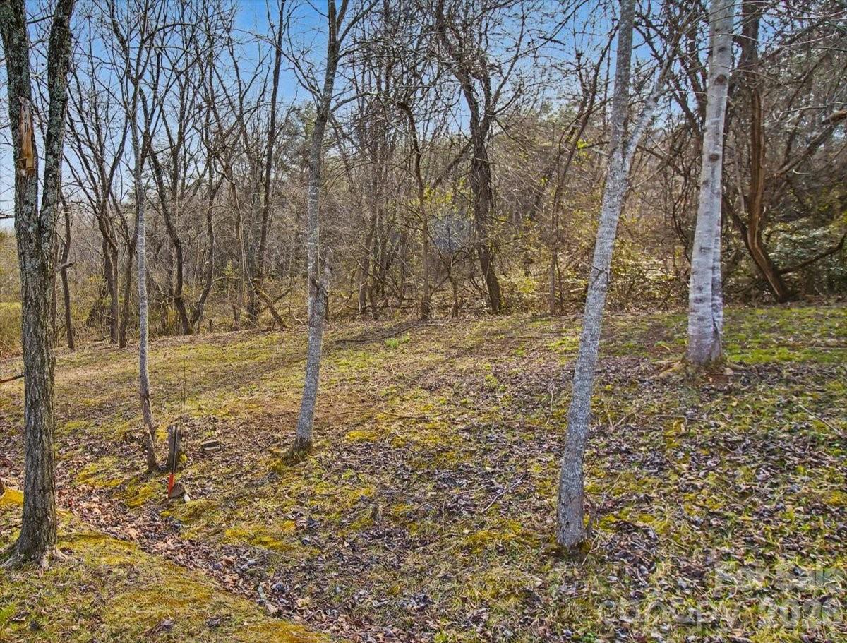 99999 Barberry Acres Road Candler NC 28715