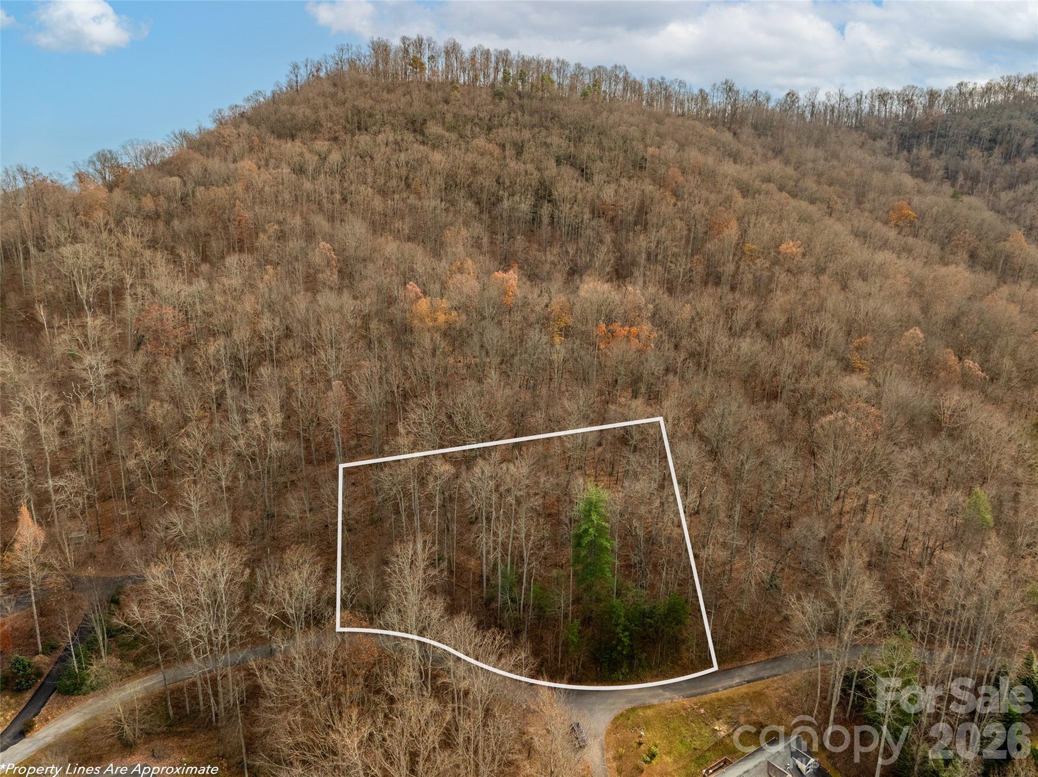 75 S Lindon Cove Road Candler NC 28715