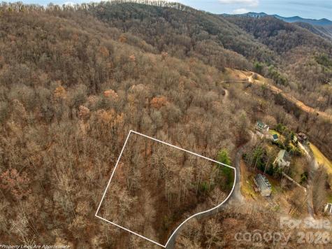75 S Lindon Cove Road Candler NC 28715
