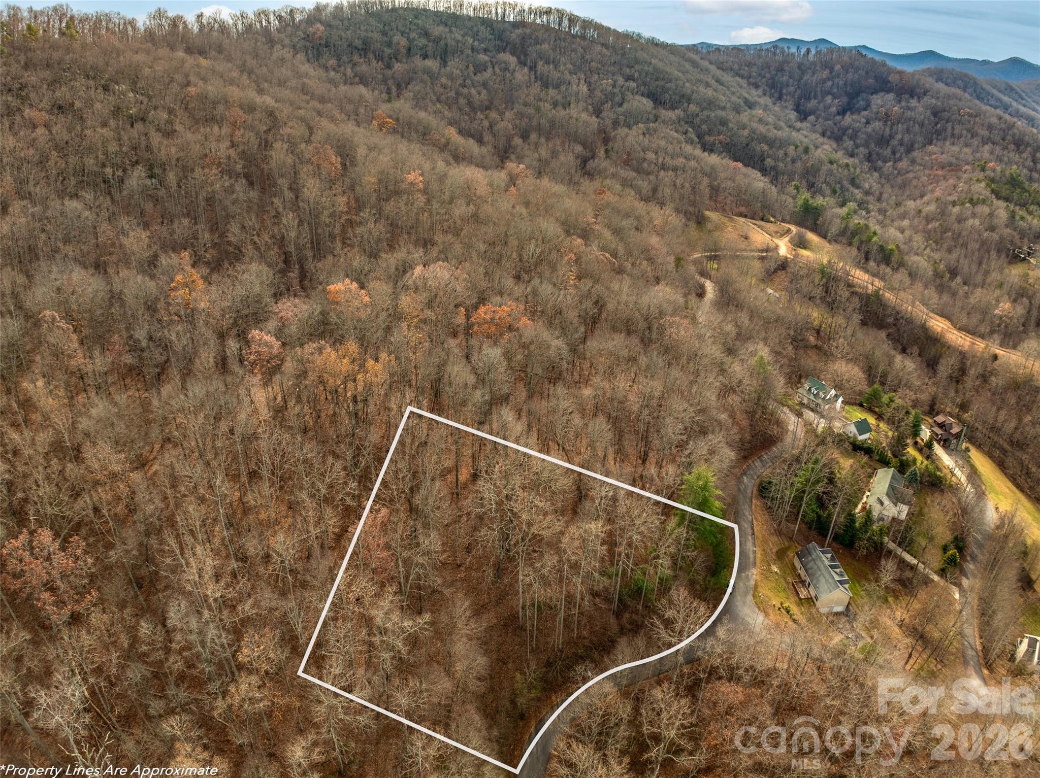 75 S Lindon Cove Road Candler NC 28715