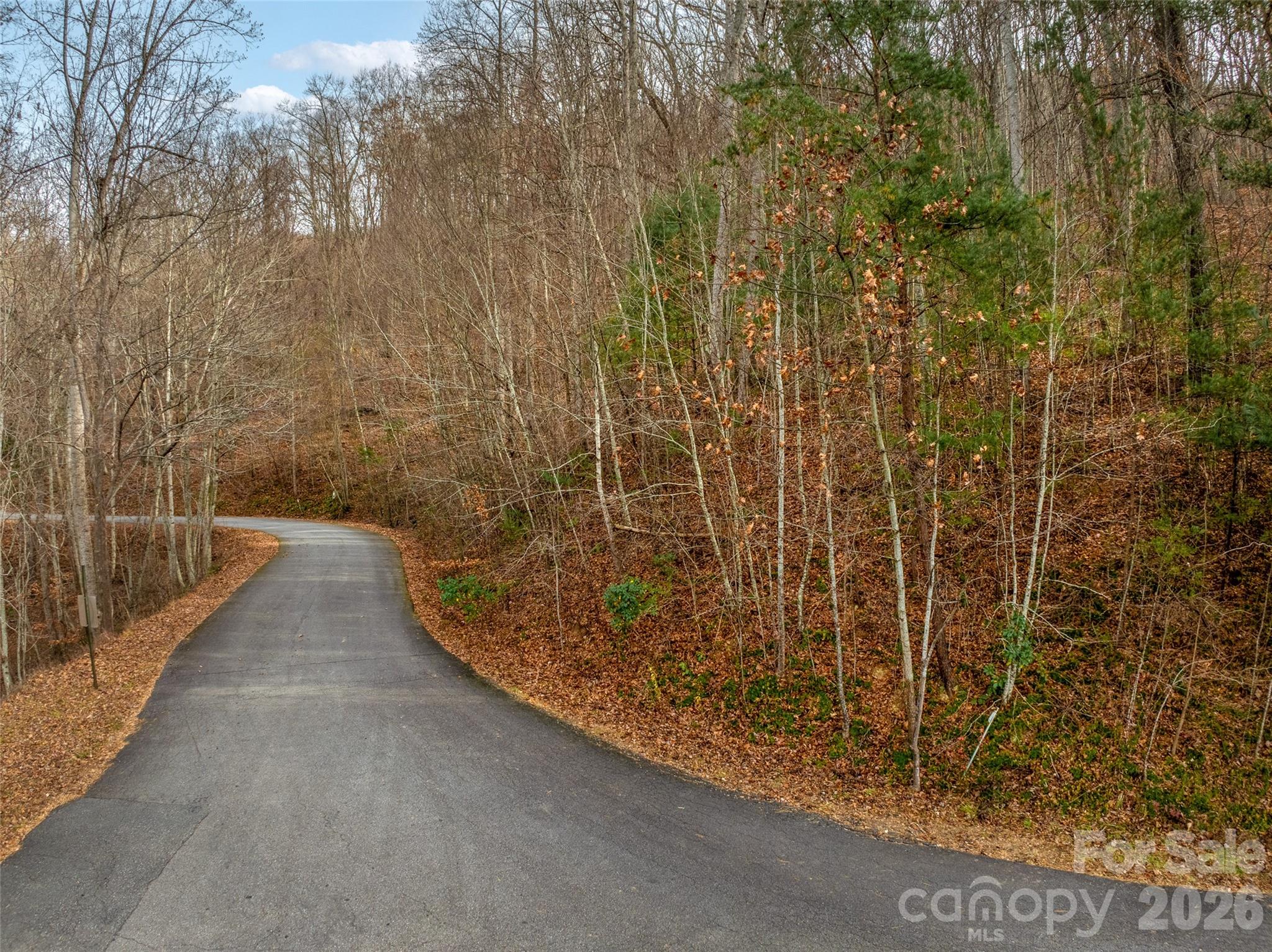 75 S Lindon Cove Road Candler NC 28715