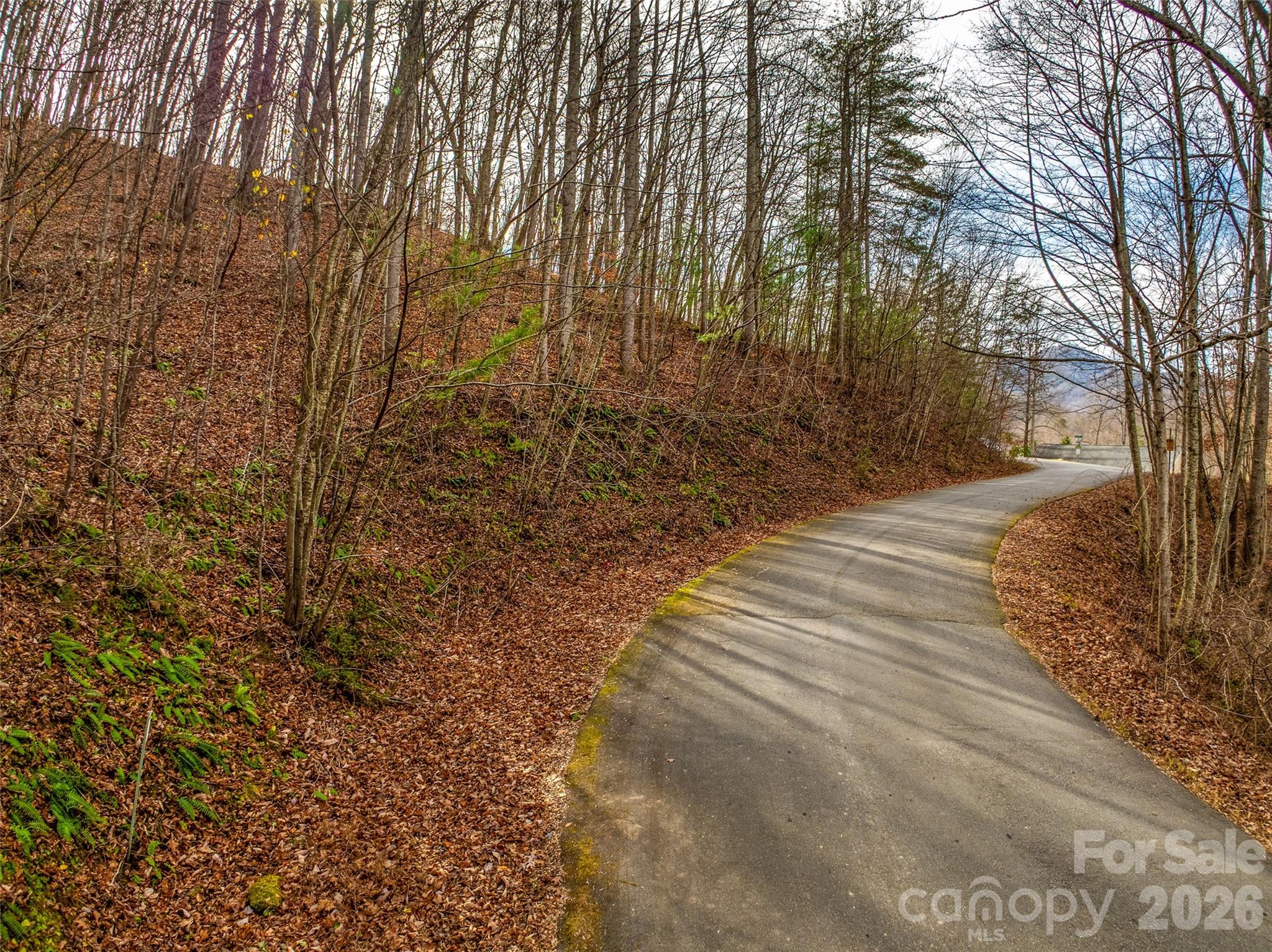 75 S Lindon Cove Road Candler NC 28715